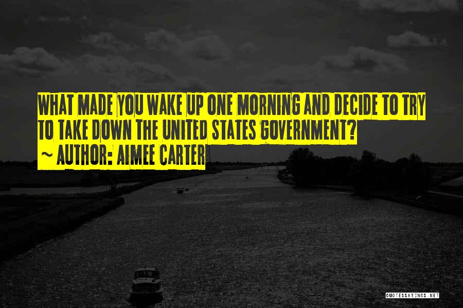 Aimee Carter Quotes: What Made You Wake Up One Morning And Decide To Try To Take Down The United States Government?