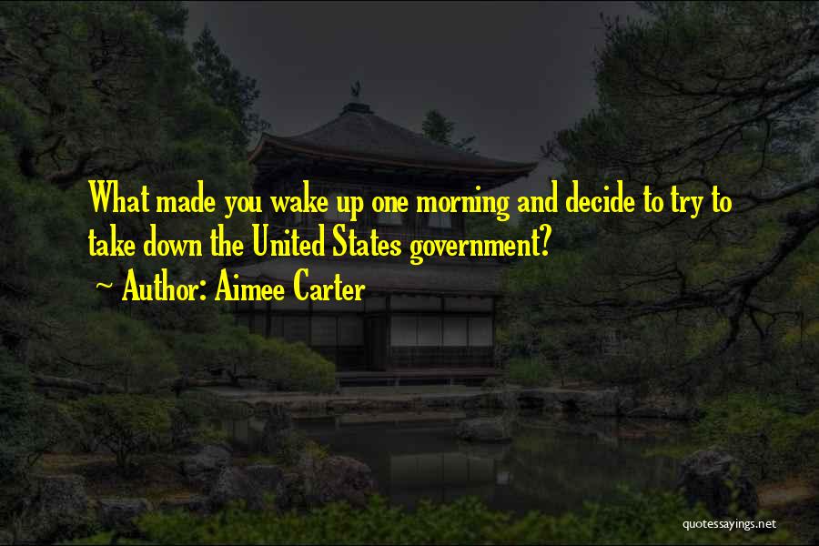 Aimee Carter Quotes: What Made You Wake Up One Morning And Decide To Try To Take Down The United States Government?