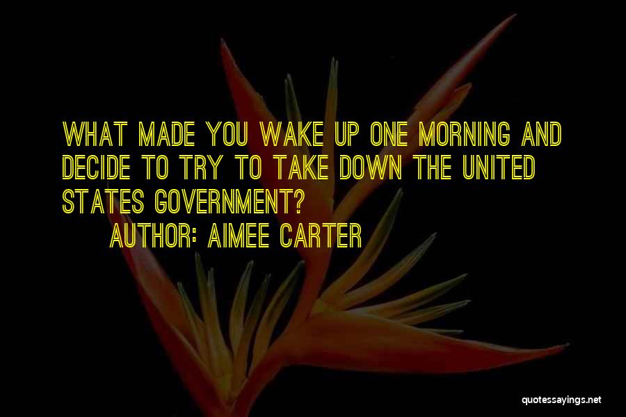 Aimee Carter Quotes: What Made You Wake Up One Morning And Decide To Try To Take Down The United States Government?