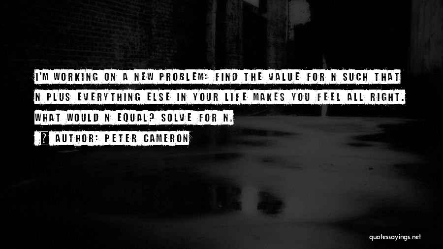 Peter Cameron Quotes: I'm Working On A New Problem: Find The Value For N Such That N Plus Everything Else In Your Life