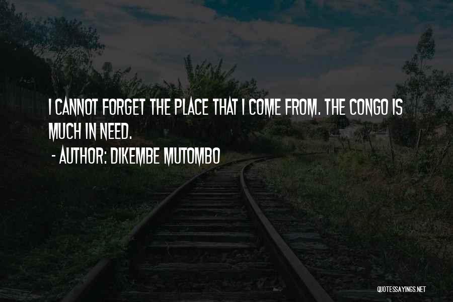 Dikembe Mutombo Quotes: I Cannot Forget The Place That I Come From. The Congo Is Much In Need.
