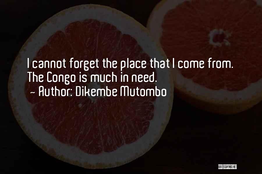 Dikembe Mutombo Quotes: I Cannot Forget The Place That I Come From. The Congo Is Much In Need.