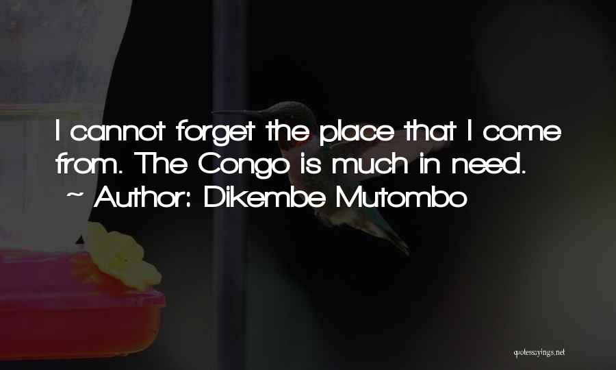 Dikembe Mutombo Quotes: I Cannot Forget The Place That I Come From. The Congo Is Much In Need.