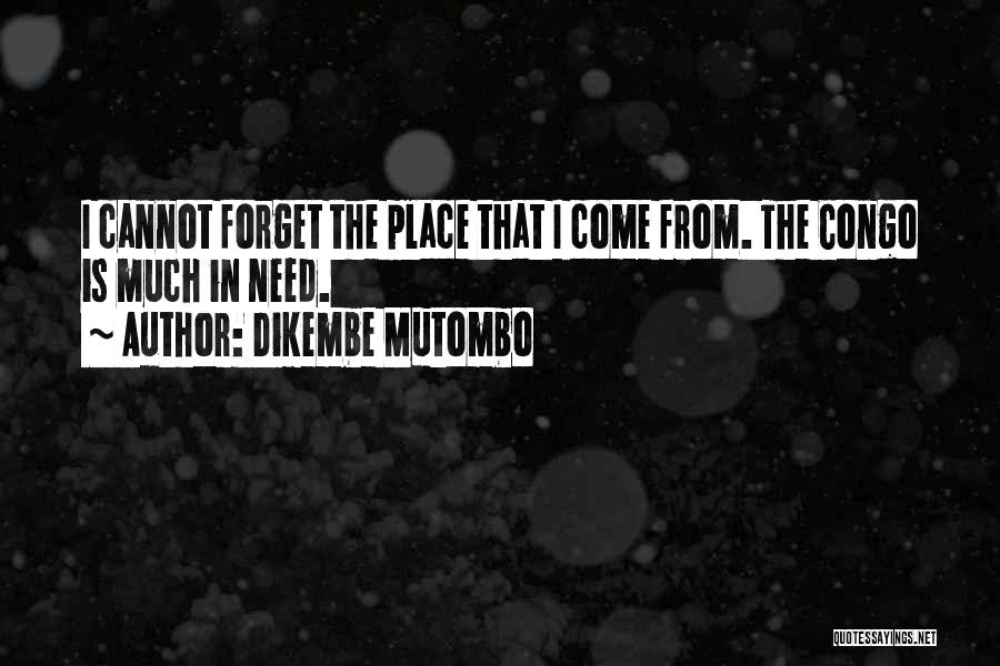 Dikembe Mutombo Quotes: I Cannot Forget The Place That I Come From. The Congo Is Much In Need.