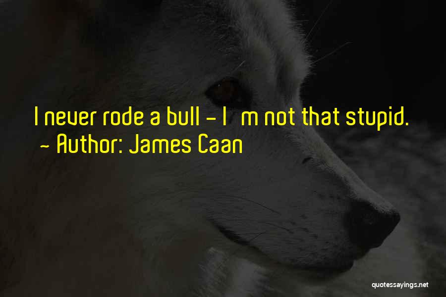 James Caan Quotes: I Never Rode A Bull - I'm Not That Stupid.