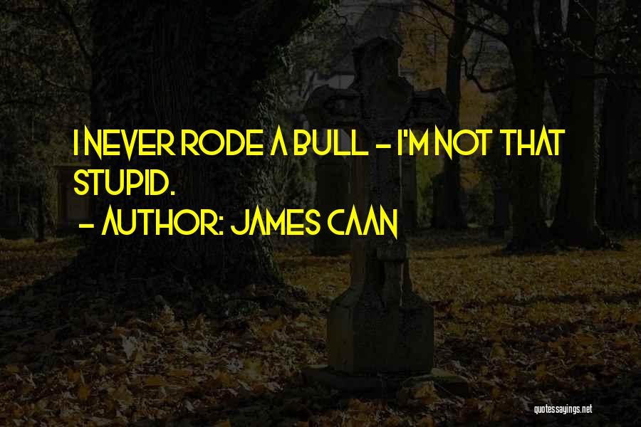 James Caan Quotes: I Never Rode A Bull - I'm Not That Stupid.