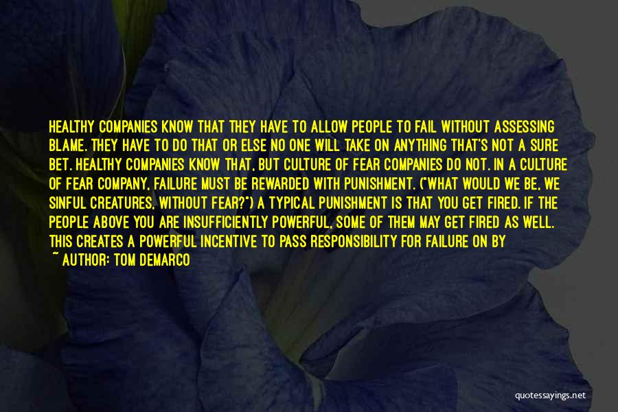 Tom DeMarco Quotes: Healthy Companies Know That They Have To Allow People To Fail Without Assessing Blame. They Have To Do That Or