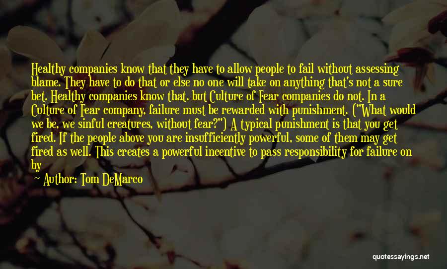 Tom DeMarco Quotes: Healthy Companies Know That They Have To Allow People To Fail Without Assessing Blame. They Have To Do That Or