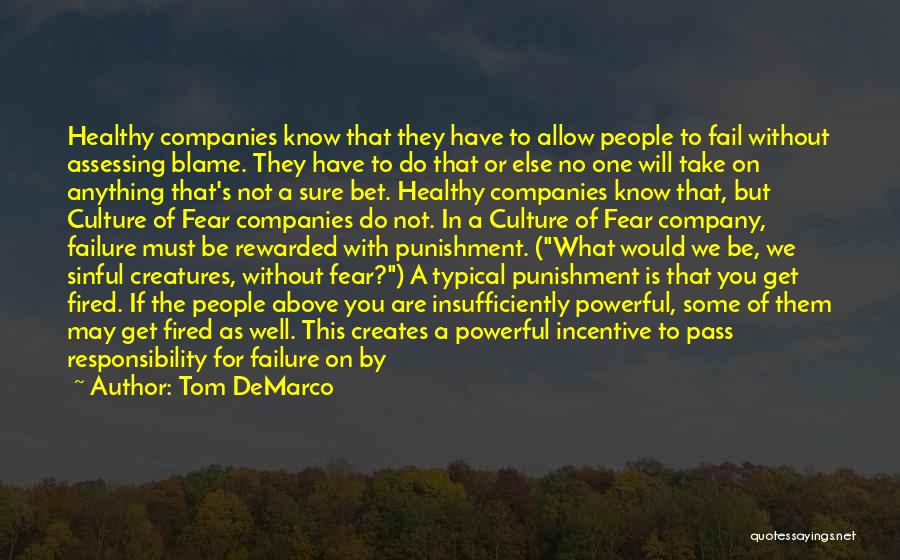 Tom DeMarco Quotes: Healthy Companies Know That They Have To Allow People To Fail Without Assessing Blame. They Have To Do That Or