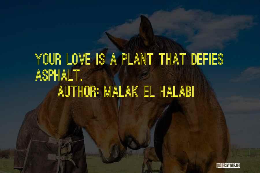 Malak El Halabi Quotes: Your Love Is A Plant That Defies Asphalt.