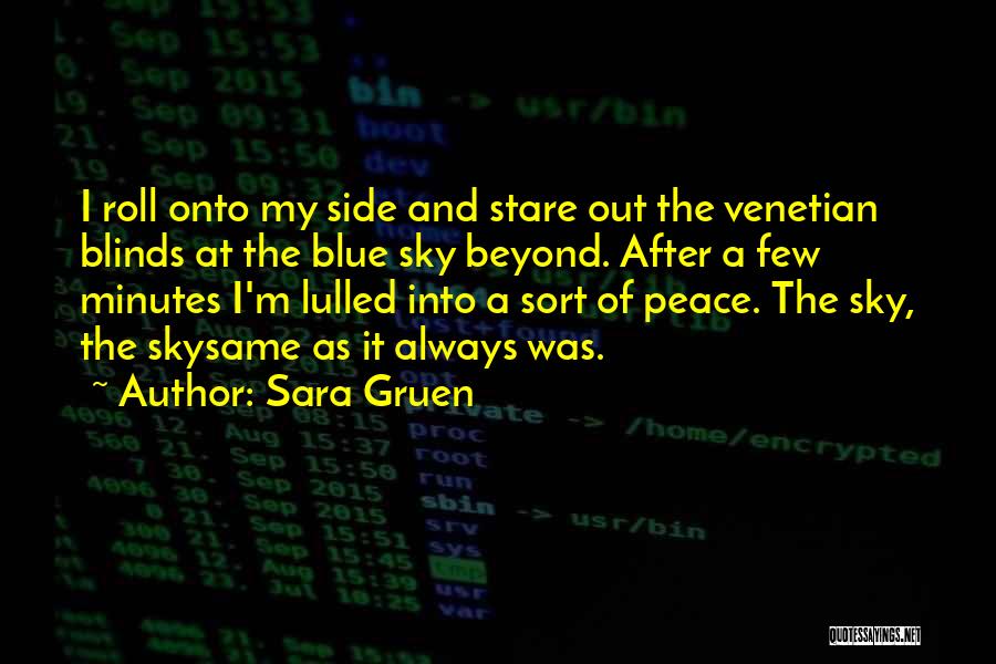 Sara Gruen Quotes: I Roll Onto My Side And Stare Out The Venetian Blinds At The Blue Sky Beyond. After A Few Minutes