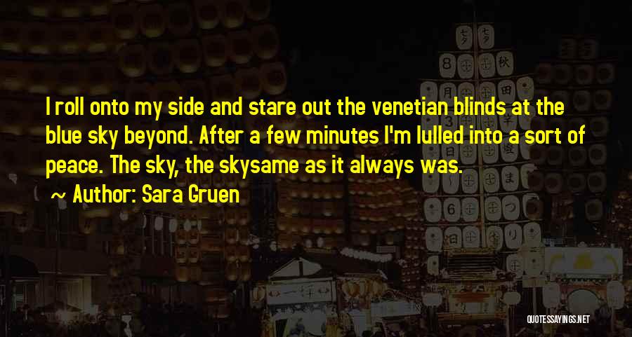 Sara Gruen Quotes: I Roll Onto My Side And Stare Out The Venetian Blinds At The Blue Sky Beyond. After A Few Minutes