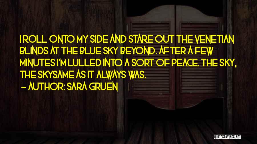 Sara Gruen Quotes: I Roll Onto My Side And Stare Out The Venetian Blinds At The Blue Sky Beyond. After A Few Minutes