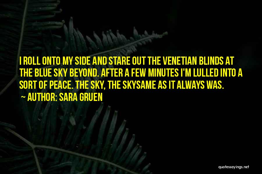 Sara Gruen Quotes: I Roll Onto My Side And Stare Out The Venetian Blinds At The Blue Sky Beyond. After A Few Minutes