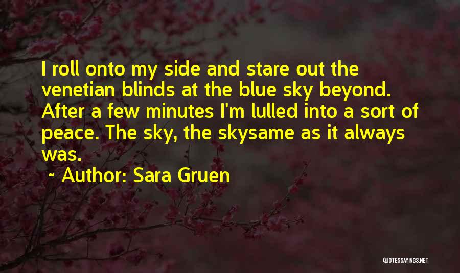 Sara Gruen Quotes: I Roll Onto My Side And Stare Out The Venetian Blinds At The Blue Sky Beyond. After A Few Minutes