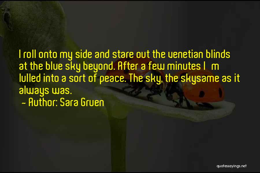 Sara Gruen Quotes: I Roll Onto My Side And Stare Out The Venetian Blinds At The Blue Sky Beyond. After A Few Minutes