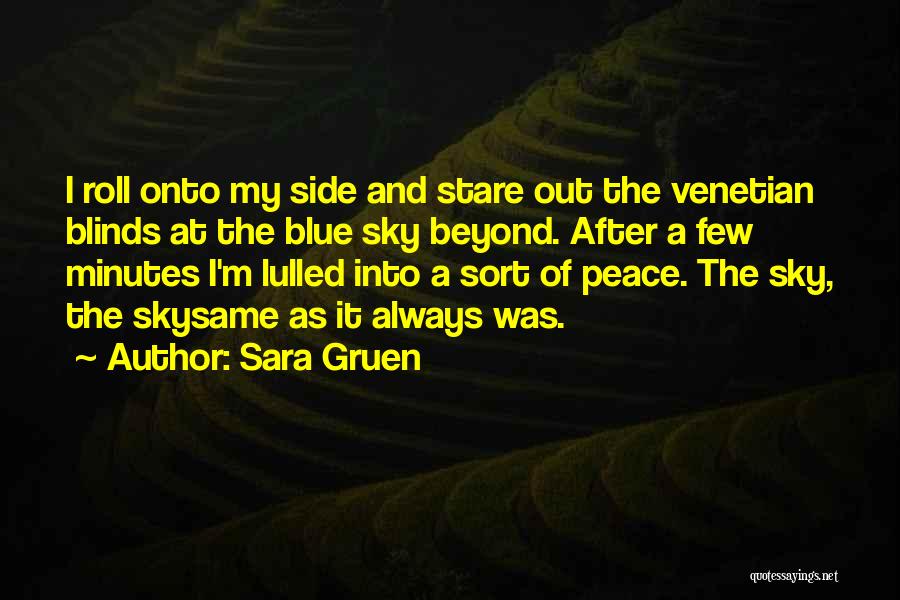 Sara Gruen Quotes: I Roll Onto My Side And Stare Out The Venetian Blinds At The Blue Sky Beyond. After A Few Minutes