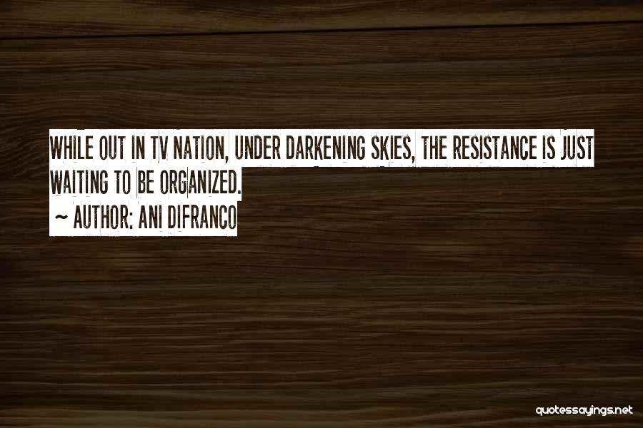 Ani DiFranco Quotes: While Out In Tv Nation, Under Darkening Skies, The Resistance Is Just Waiting To Be Organized.