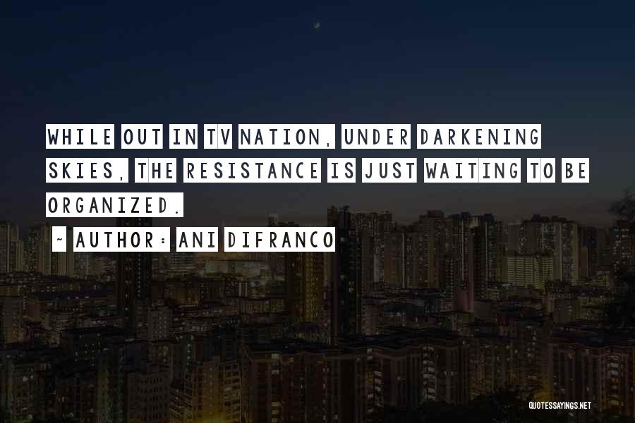 Ani DiFranco Quotes: While Out In Tv Nation, Under Darkening Skies, The Resistance Is Just Waiting To Be Organized.