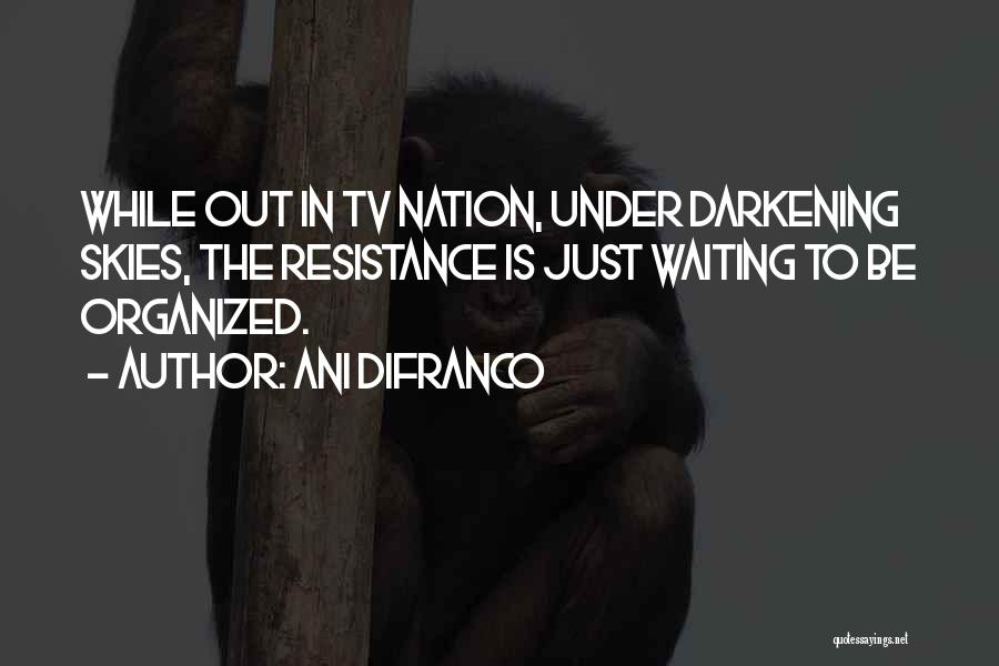Ani DiFranco Quotes: While Out In Tv Nation, Under Darkening Skies, The Resistance Is Just Waiting To Be Organized.