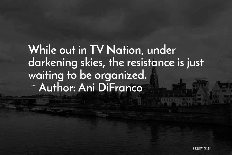 Ani DiFranco Quotes: While Out In Tv Nation, Under Darkening Skies, The Resistance Is Just Waiting To Be Organized.