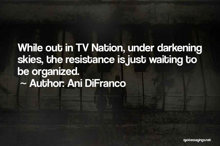 Ani DiFranco Quotes: While Out In Tv Nation, Under Darkening Skies, The Resistance Is Just Waiting To Be Organized.