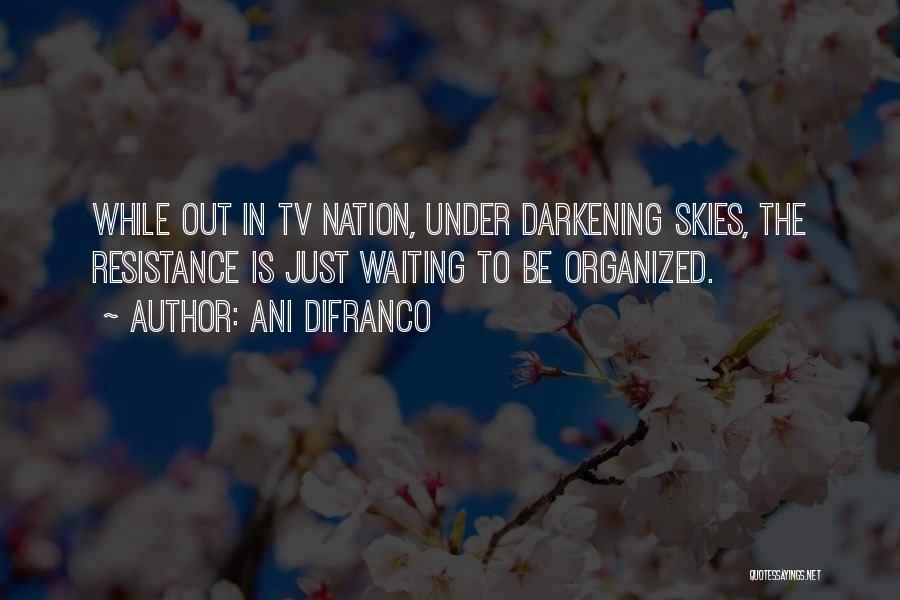 Ani DiFranco Quotes: While Out In Tv Nation, Under Darkening Skies, The Resistance Is Just Waiting To Be Organized.