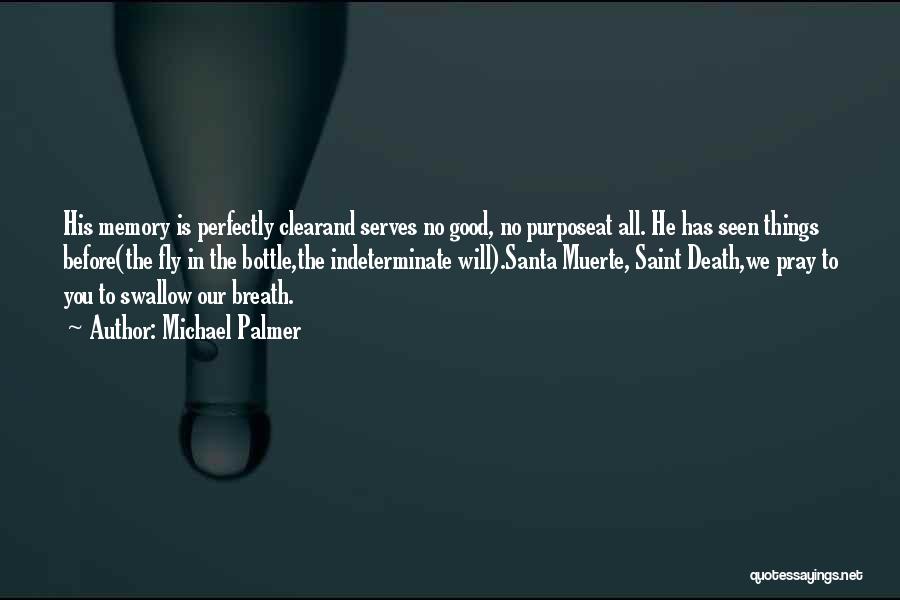 Michael Palmer Quotes: His Memory Is Perfectly Clearand Serves No Good, No Purposeat All. He Has Seen Things Before(the Fly In The Bottle,the