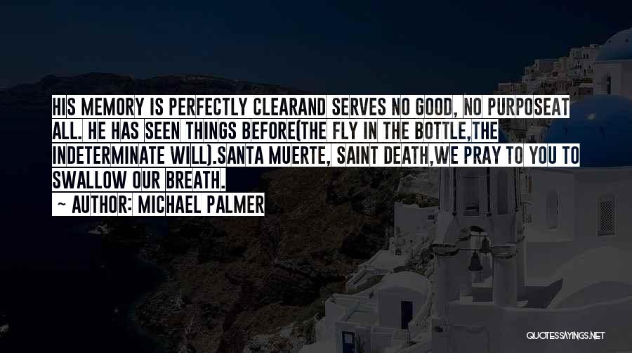 Michael Palmer Quotes: His Memory Is Perfectly Clearand Serves No Good, No Purposeat All. He Has Seen Things Before(the Fly In The Bottle,the