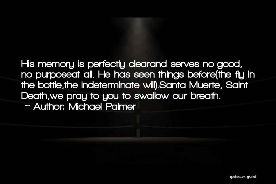 Michael Palmer Quotes: His Memory Is Perfectly Clearand Serves No Good, No Purposeat All. He Has Seen Things Before(the Fly In The Bottle,the