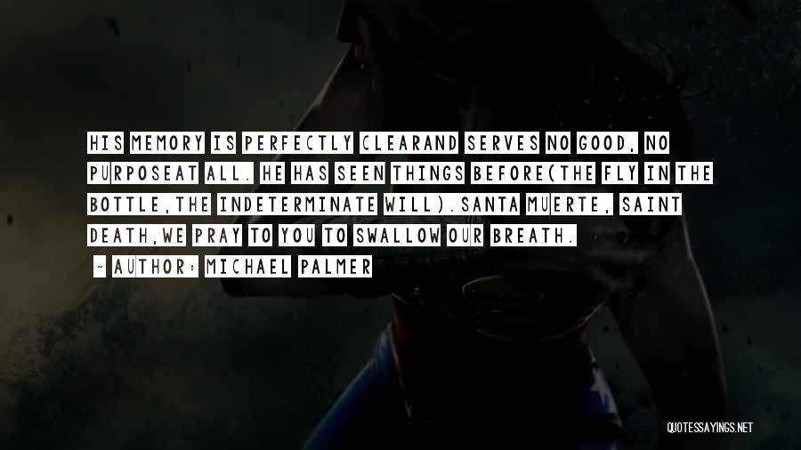 Michael Palmer Quotes: His Memory Is Perfectly Clearand Serves No Good, No Purposeat All. He Has Seen Things Before(the Fly In The Bottle,the