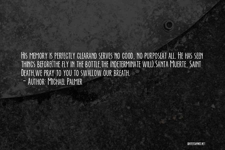 Michael Palmer Quotes: His Memory Is Perfectly Clearand Serves No Good, No Purposeat All. He Has Seen Things Before(the Fly In The Bottle,the