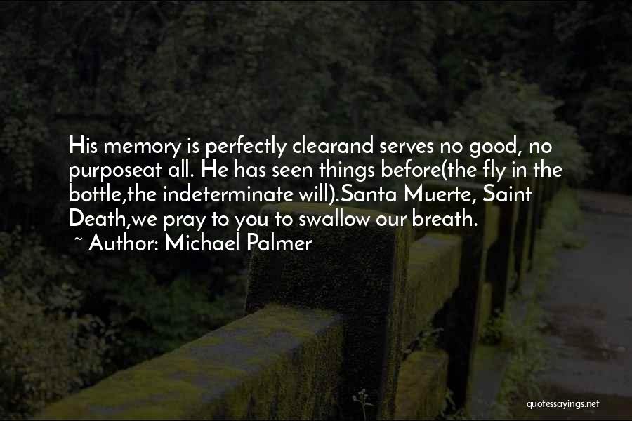 Michael Palmer Quotes: His Memory Is Perfectly Clearand Serves No Good, No Purposeat All. He Has Seen Things Before(the Fly In The Bottle,the