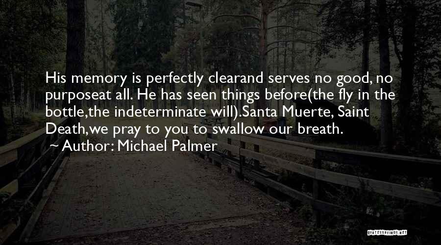 Michael Palmer Quotes: His Memory Is Perfectly Clearand Serves No Good, No Purposeat All. He Has Seen Things Before(the Fly In The Bottle,the