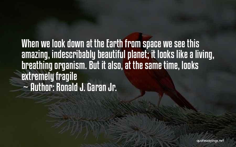 Ronald J. Garan Jr. Quotes: When We Look Down At The Earth From Space We See This Amazing, Indescribably Beautiful Planet; It Looks Like A
