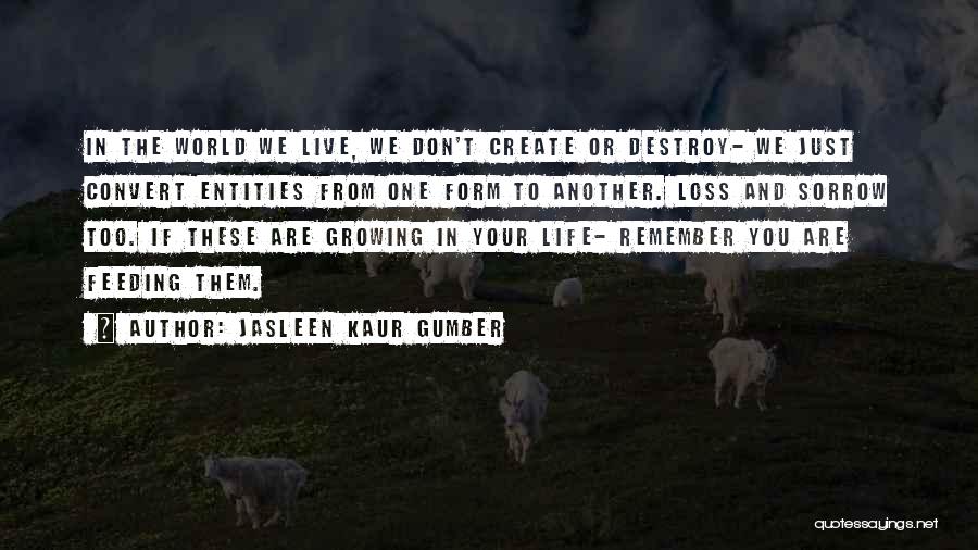 Jasleen Kaur Gumber Quotes: In The World We Live, We Don't Create Or Destroy- We Just Convert Entities From One Form To Another. Loss