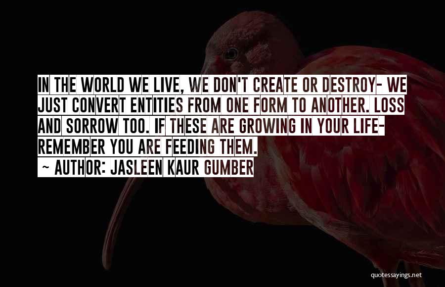 Jasleen Kaur Gumber Quotes: In The World We Live, We Don't Create Or Destroy- We Just Convert Entities From One Form To Another. Loss
