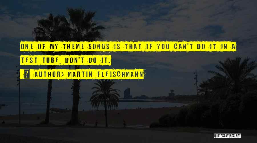 Martin Fleischmann Quotes: One Of My Theme Songs Is That If You Can't Do It In A Test Tube, Don't Do It.