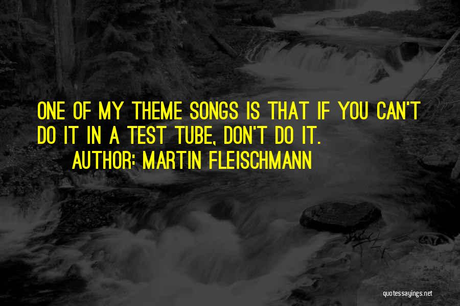 Martin Fleischmann Quotes: One Of My Theme Songs Is That If You Can't Do It In A Test Tube, Don't Do It.