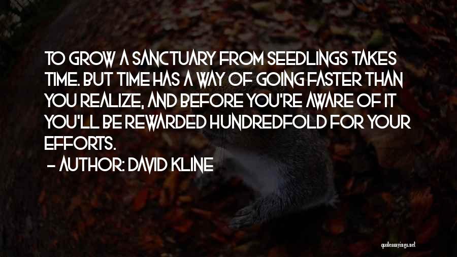 David Kline Quotes: To Grow A Sanctuary From Seedlings Takes Time. But Time Has A Way Of Going Faster Than You Realize, And