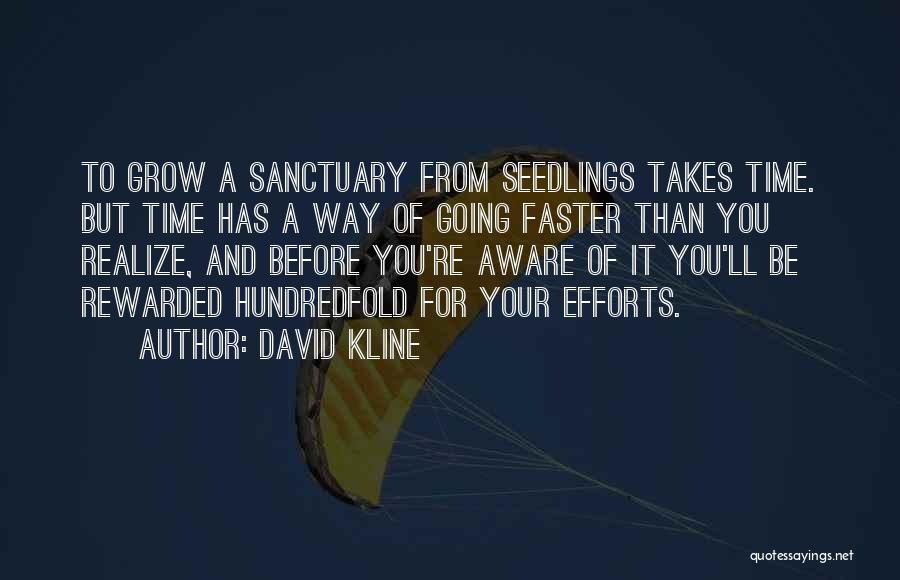 David Kline Quotes: To Grow A Sanctuary From Seedlings Takes Time. But Time Has A Way Of Going Faster Than You Realize, And