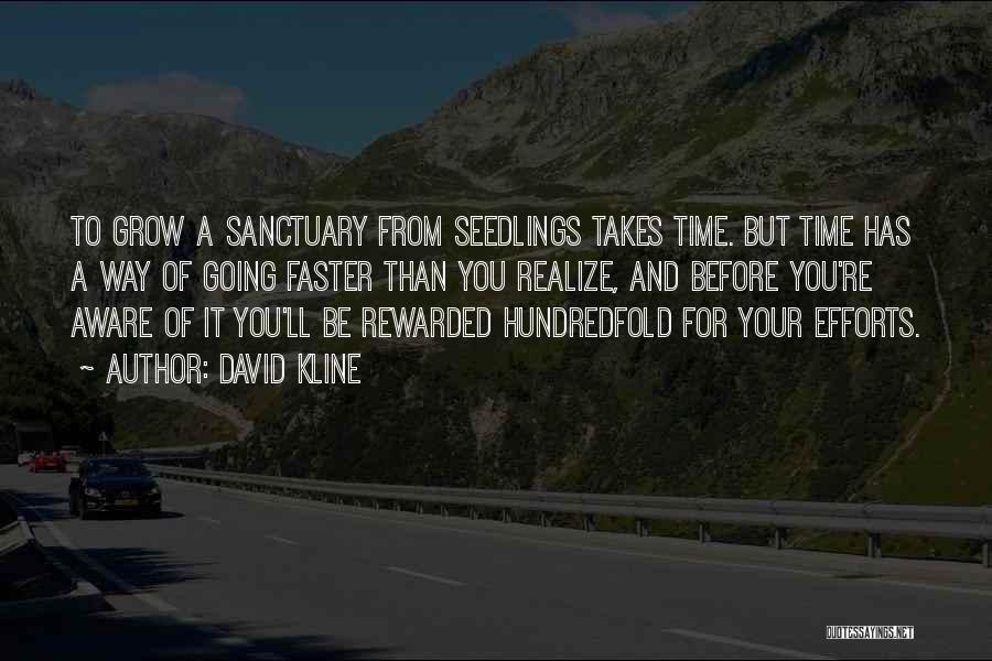 David Kline Quotes: To Grow A Sanctuary From Seedlings Takes Time. But Time Has A Way Of Going Faster Than You Realize, And