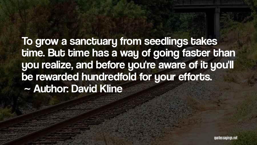 David Kline Quotes: To Grow A Sanctuary From Seedlings Takes Time. But Time Has A Way Of Going Faster Than You Realize, And