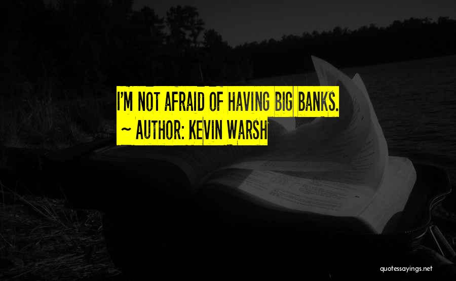 Kevin Warsh Quotes: I'm Not Afraid Of Having Big Banks.
