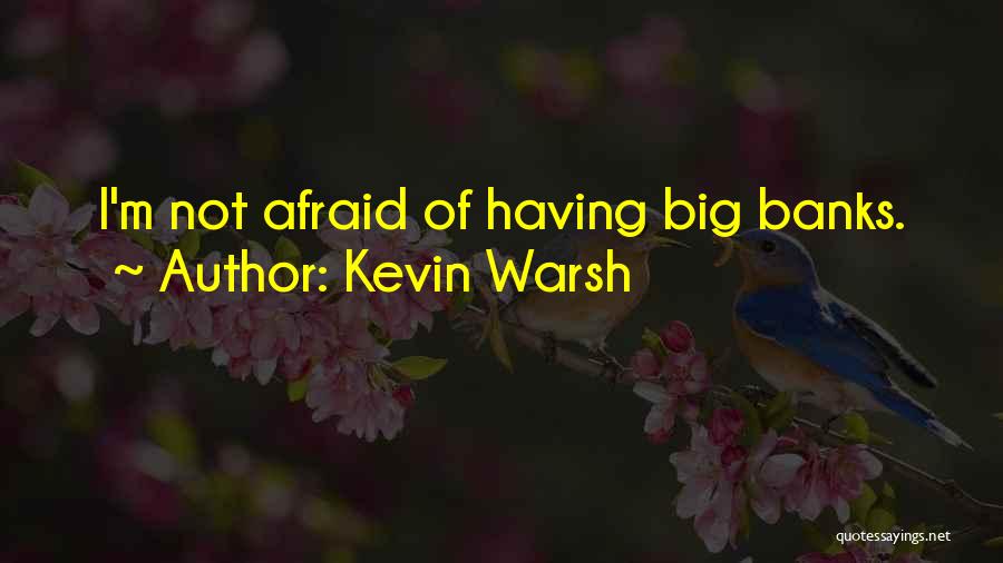 Kevin Warsh Quotes: I'm Not Afraid Of Having Big Banks.