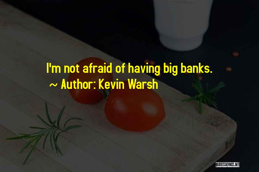 Kevin Warsh Quotes: I'm Not Afraid Of Having Big Banks.