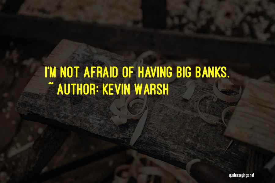 Kevin Warsh Quotes: I'm Not Afraid Of Having Big Banks.