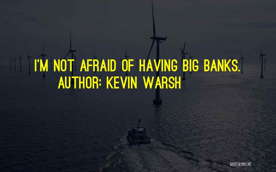 Kevin Warsh Quotes: I'm Not Afraid Of Having Big Banks.