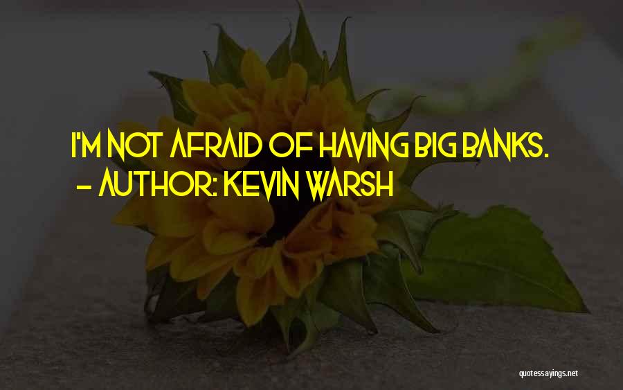 Kevin Warsh Quotes: I'm Not Afraid Of Having Big Banks.