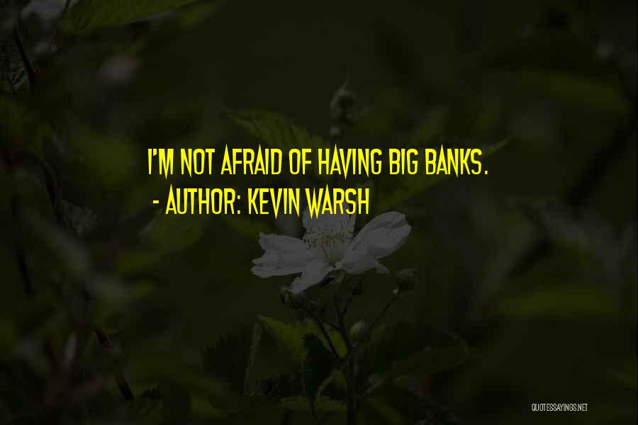 Kevin Warsh Quotes: I'm Not Afraid Of Having Big Banks.